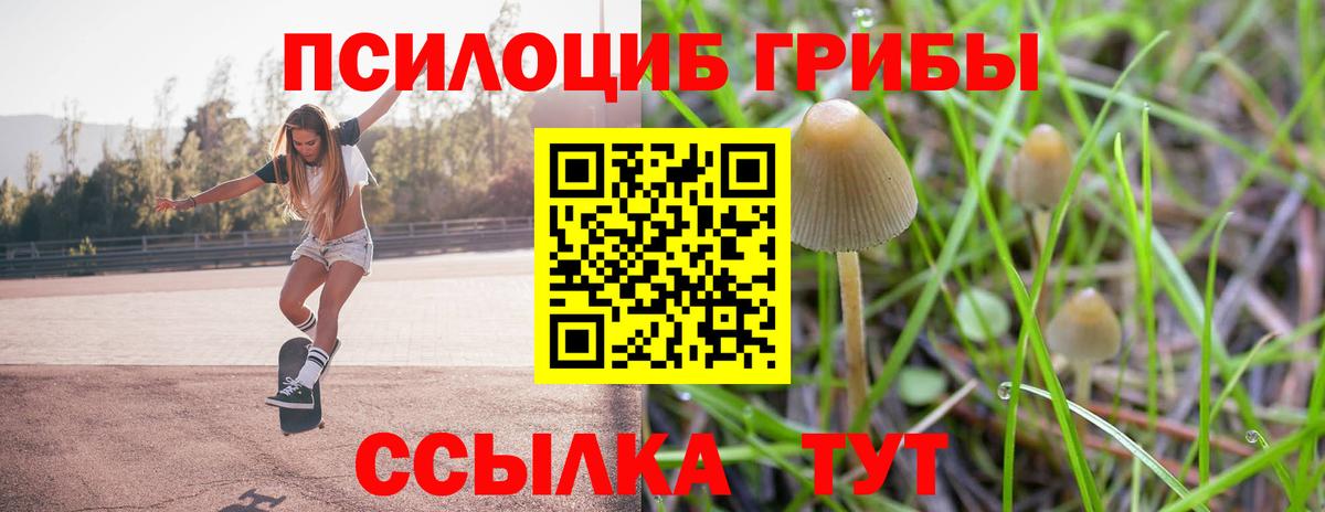 Псилоцибиновые грибы GOLDEN TEACHER Донецк